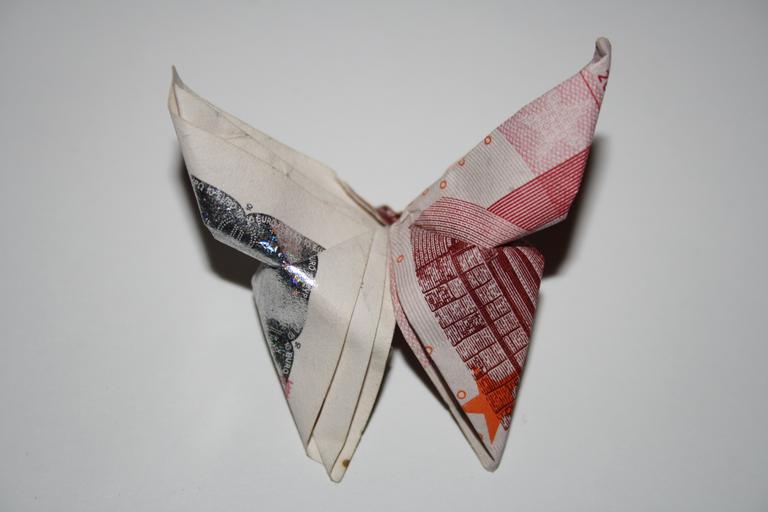 motýl z eur